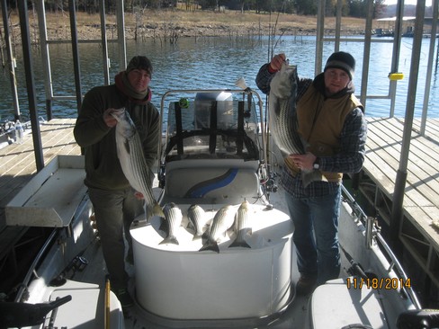 Nice Striped Bass